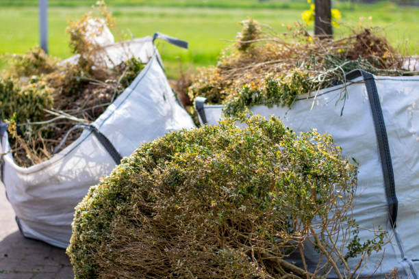 Best Local Junk Hauling  in Wallingford Center, CT
